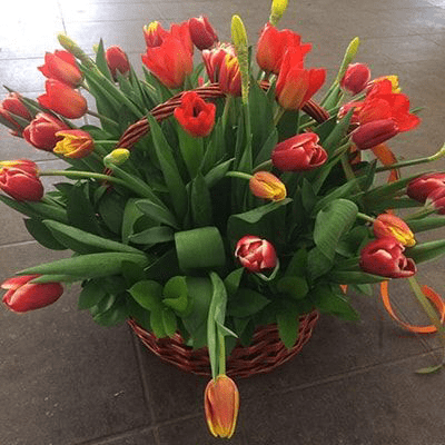Букет Корзина тюльпанов