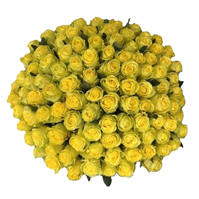 Букет 101 Роза желтая