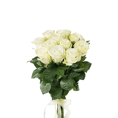 Букет 11 Роз белых